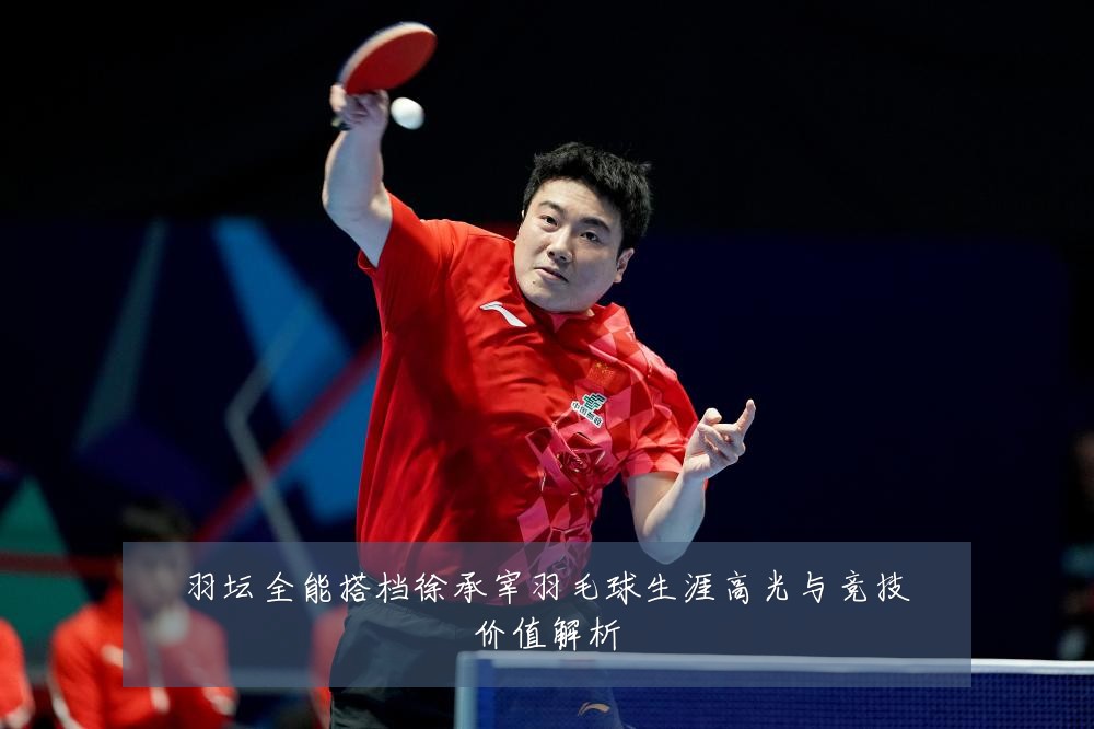 羽坛全能搭档徐承宰羽毛球生涯高光与竞技价值解析